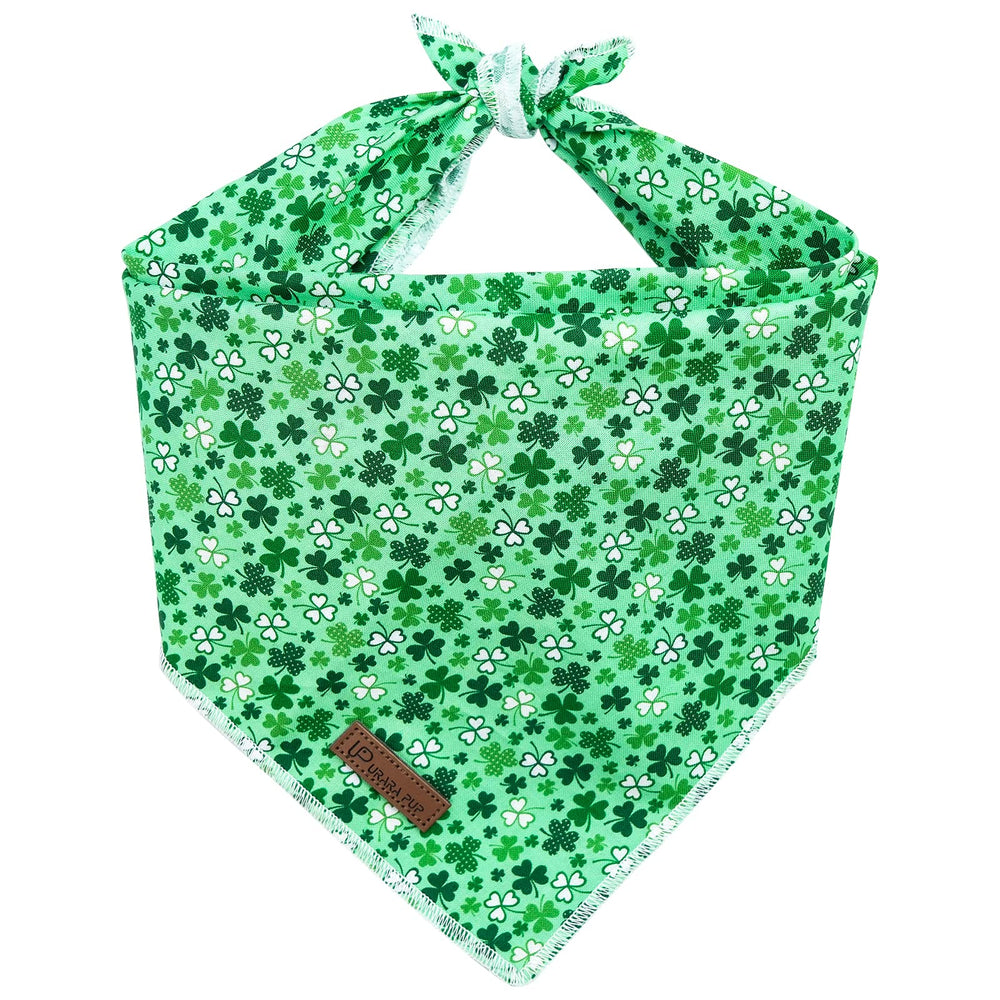 Bandana UP URARA PUP Triángulo verde con trébol para festividades de San Patricio