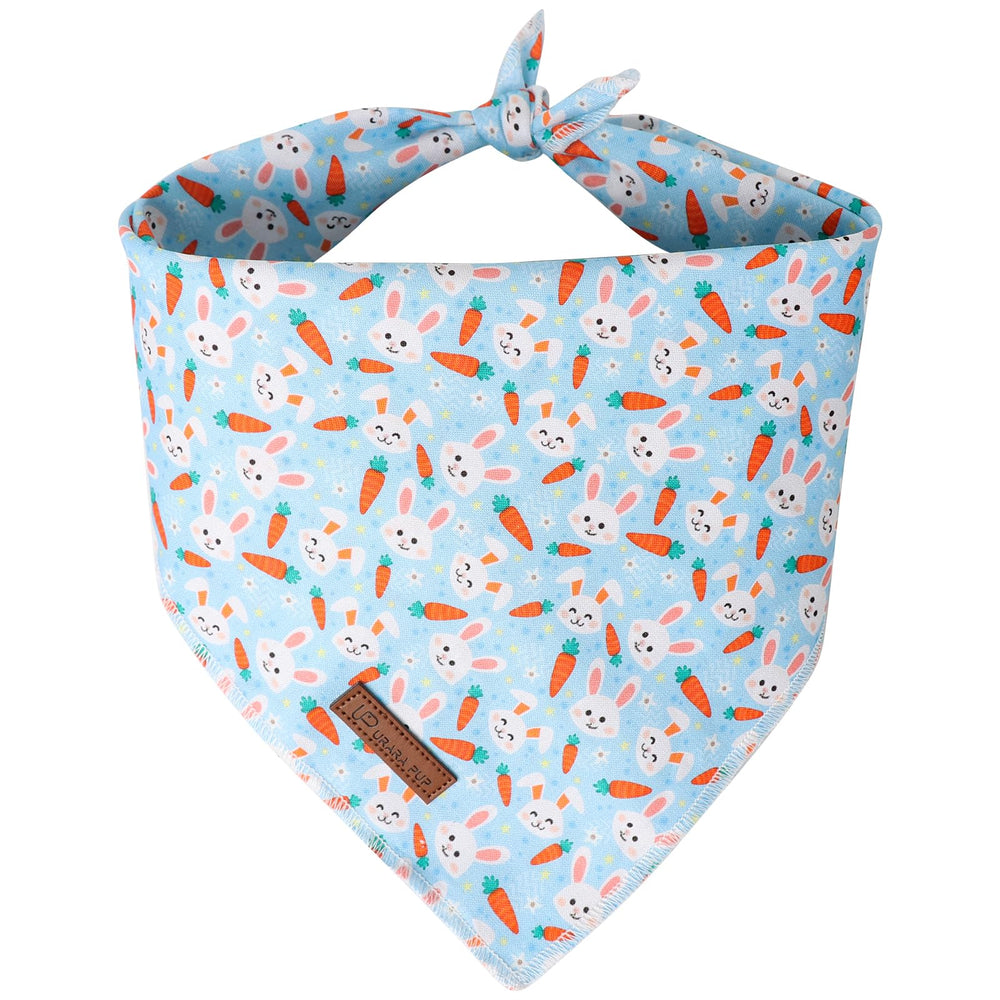 Bandana UP URARA PUP Pascua para perro, estilo triángulo festivo.