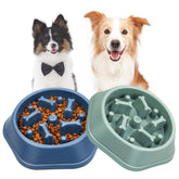 UPSKY slow feeder pour chien bleu, favorise une alimentation lente et interactive.