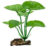 Planta de seda UreverFins con hojas suaves para refugio seguro.