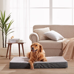 URGVANZ PET cama con cobertura impermeable protege la espuma.