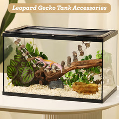 Segundo puente de reptiles VCEPJH, fijación estable para el terrario del gecko leopardo.
