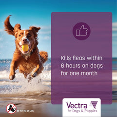 Vectra para perro pequeño: aplicación rápida que se seca y no deja grasa.