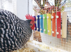 Vehomy xilófono para gallinas teclas de metal: 8 notas para exploración musical.