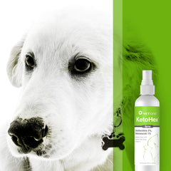 Vet One Ketohex Aerosol: boquilla segura que facilita control de la dosis