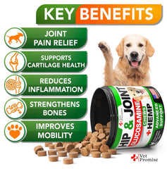 Vet Promise envase gomitas para perros, consumo diario cómodo.