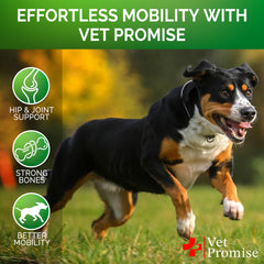 Vet Promise Glucosamina Avanzada para Perro, uso adecuado para perros de todas las edades