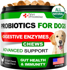 Vet Promise probióticos para perros - botella, podría apoyar la digestión y el bienestar general.