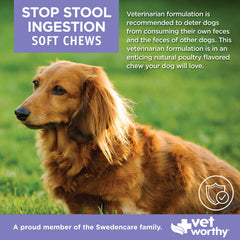 Vet Worthy Coprophagia Masticables Suaves para perros, apoyo digestivo diario