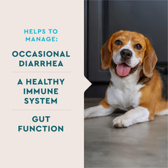 VetIQ chicken liver flavor probiotic powder enhances daily meals and digestion.