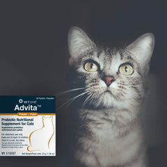Mezcla Advita en la comida de gatos, uso diario fácil.