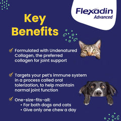 Vetoquinol Flexadin Avanzado – masticables para perros y gatos con sabor agradable.