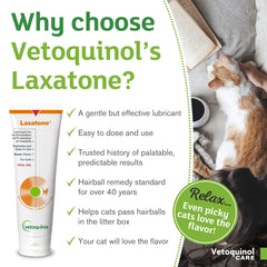 Laxatone de Vetoquinol, sabor arce