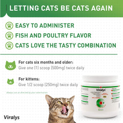 Uso diario de Viralys para gatos, apoyo ocular y respiratorio.