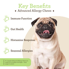 VetPro Complete: apoyo inmunológico con vitamina C para perros de todas las edades
