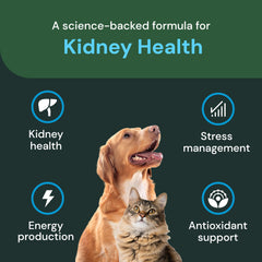 VetriScience uso diario para gatos y perros, apoyo renal