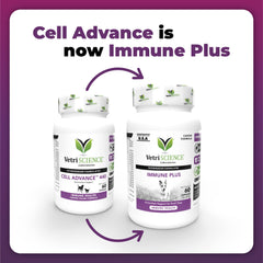 Vitaminas A, C y E en VetriScience Immunity Health para apoyo inmunitario.