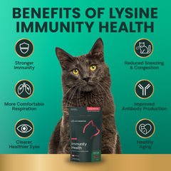 Lysina y DMG, ingredientes clave para soporte inmune y reparación tisular felina.