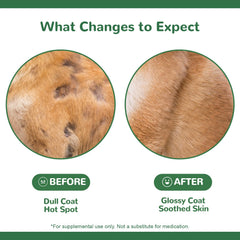 Vetriuntrix ingredientes naturales sin granos para perros sensibles.