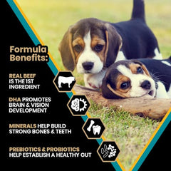 VICTOR Classic Hi-Pro cachorros pequeños en tazón con alimento, apoyo digestivo.