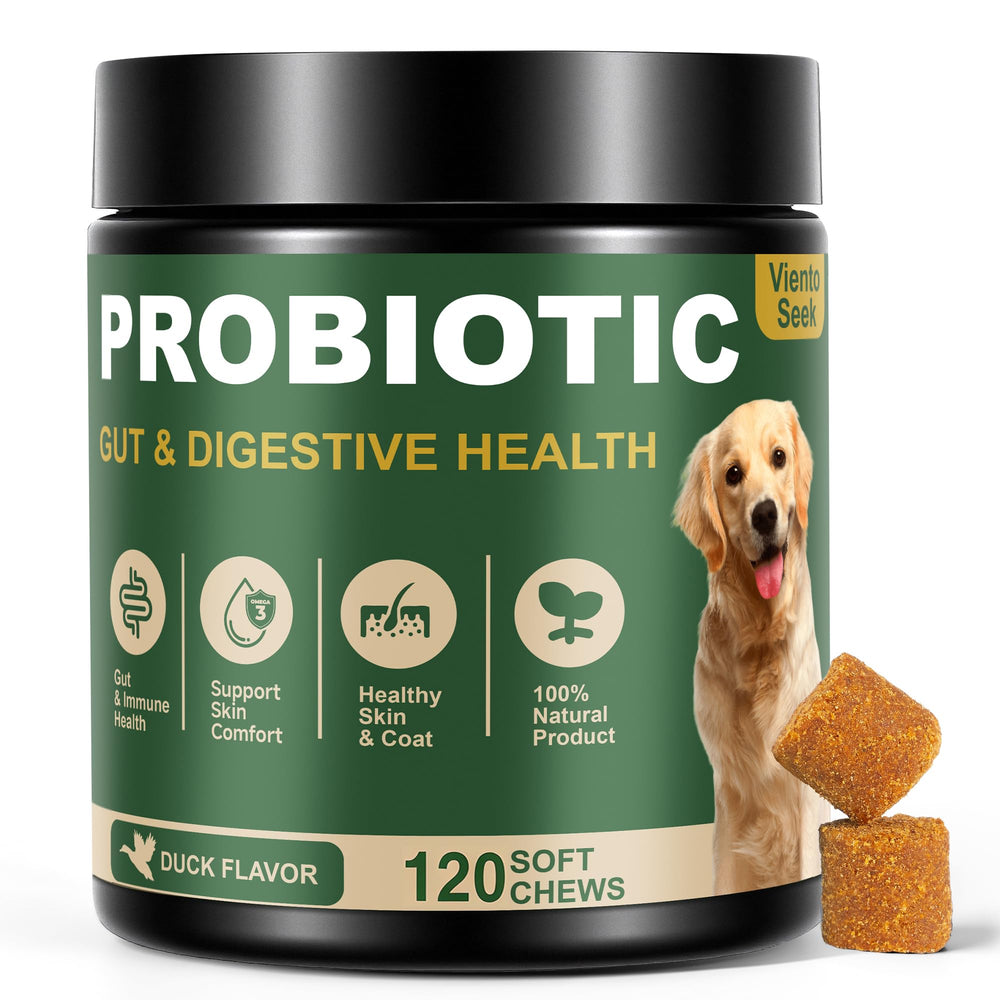 VientoSeek Probiotics para perros: enzimas que apoyan la digestión diaria