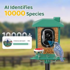 VIMKIM reconocimiento-ia-5000-especies: identifica aves en tu jardín.