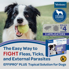 Virbac EFFIPRO PLUS, secado rápido tras la aplicación