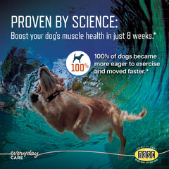 Virbac URSOLYX, perro roiendo masticable suave para comodidad al moverse.