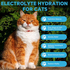 VivaElixir glucosa-energía para gatos, ayuda a mantener la energía durante la recuperación.