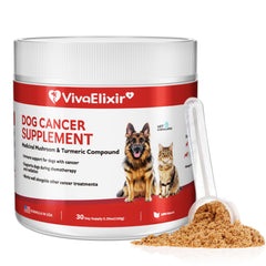 VivaElixir Polvo Suplemento Hongos en botella, práctica opción diaria para energía sostenida.