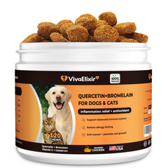 VivaElixir quercetina y bromelina en botella, para apoyo inmunológico potencial.