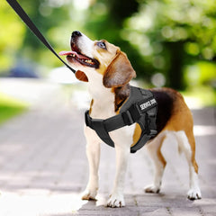VOOPET arnés servicio ajuste fácil para perros de tamaños variados.