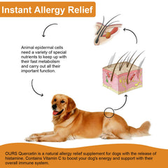 Quercetina para perros de VOSIFSDIY: gotitas para dosis diaria y comodidad.