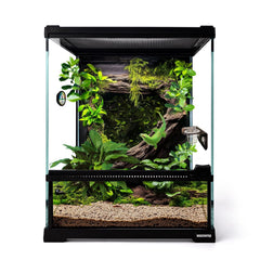 Waazoorep mini-terra reptil cristal 8x8x10 con visión frontal clara para observar al animal.