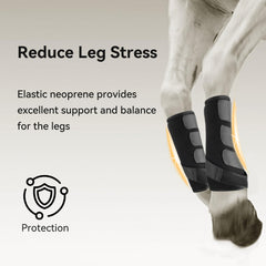 Botas para caballos Wagrvuy, diseño transpirable que mantiene cómodo durante entrenamientos