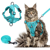 Wanheart arnés de pecho para gato en malla esmeralda, cómodo y ligero para paseos.