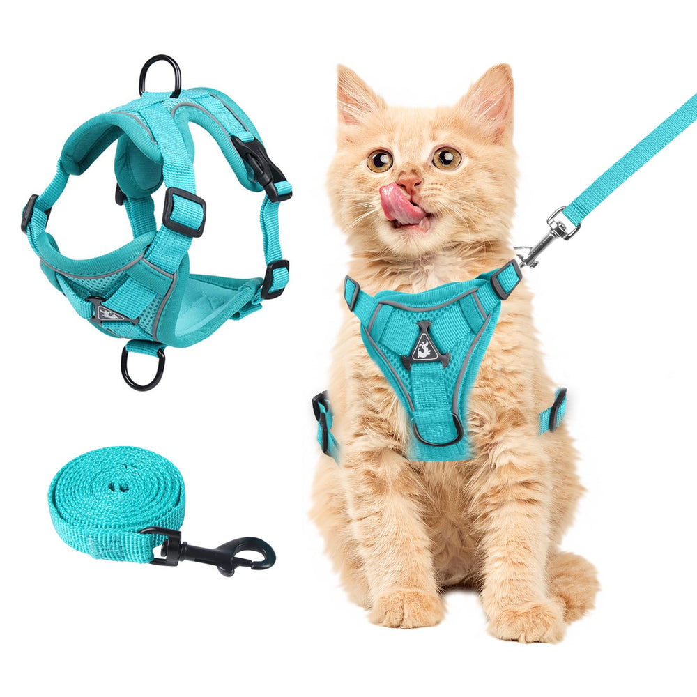 Wanheart arnès-pecho para gato en color esmeralda, cómodo para paseos diarios.