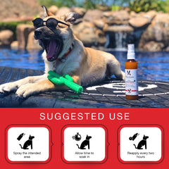 Warren London protector solar para perros, spray en barriga para zonas expuestas