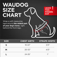 Etiqueta QR WAUDOG con código facilita identidad de tu perro