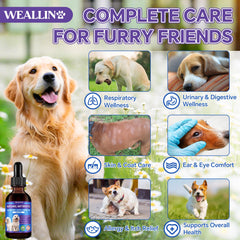 WEALLIN antibióticos para perros: sabor a tocino para una aceptación fácil.