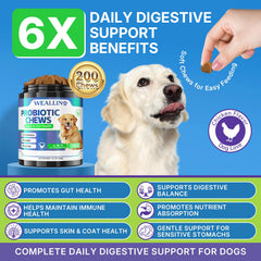 WEALLIN probióticos para perros gomitas sabor pollo, fácil de administrar para la digestión.