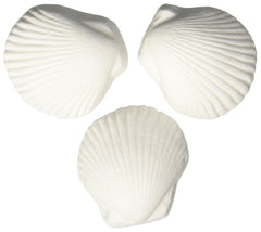 Weco Wonder Shell de concha decorativa para acuarios, oxigena el agua y aporta calcio para caparazones