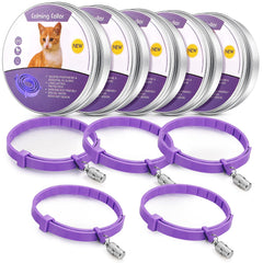 Weewooday collar calmante para gatos ajustable en uso diario.