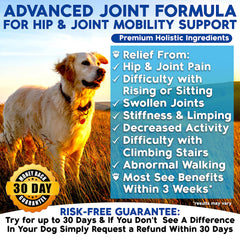 Well Loved Glucosamina para perros: masticables suaves para articulaciones más flexibles.
