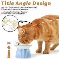 Wellbro tazón anti vómitos para gatos en interior mantiene la comida centrada