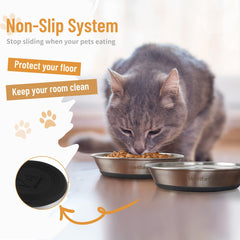 Wellbro tazones para mascotas pequeñas, tamaño ideal para comida.