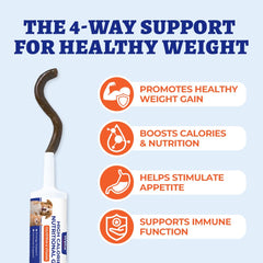 Wellix gel alto calorías, energía diaria para perros y gatos.