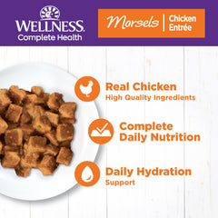 Wellness bocados sin granos para gato con pollo: opción natural en salsa