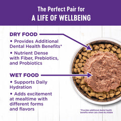 Wellness Complete Health digestión-inmunidad, apoyo general para el sistema digestivo