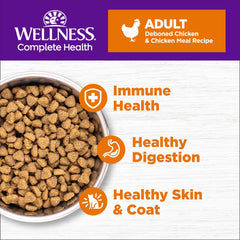 Gato en tazón con Wellness Complete Health, comida seca para energía diaria.
